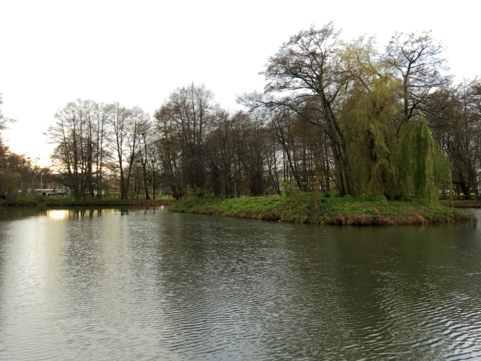 Jelitkowo park 1
