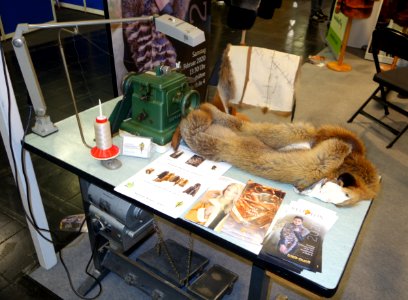 Jagd & Hund, 2020, Pelz (013)