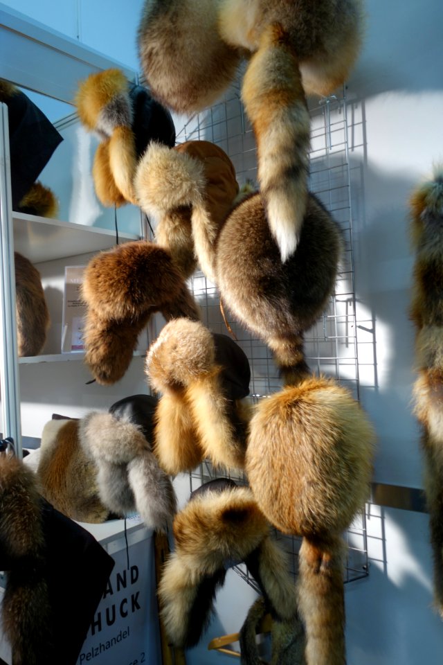 Jagd & Hund, 2020, Pelz (072)