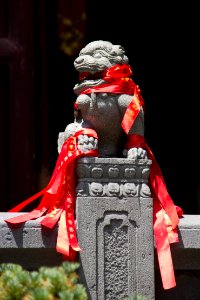 Jade Buddha Temple 14
