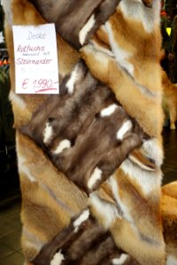 Jagd & Hund, 2020, Pelz (084)
