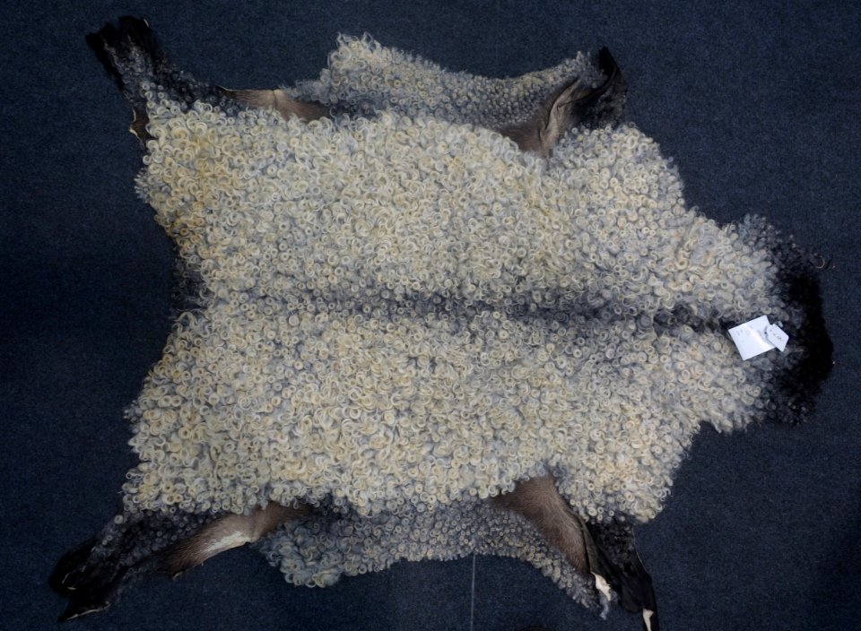 Jagd & Hund, 2020, Pelz (089)