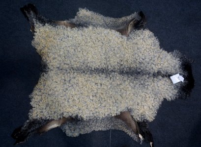 Jagd & Hund, 2020, Pelz (089)