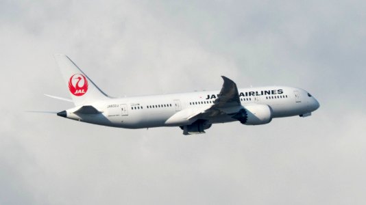 Japan Airlines Boeing 787-846 JA832J Flight over Neihu District, Taipei 20141101