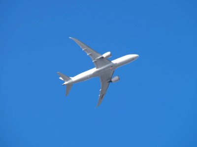 Japan Airlines Boeing 787-846 JA828J Flight over Nangang District, Taipei 20141030b
