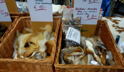 Jagd & Hund, 2020, Pelz (090)