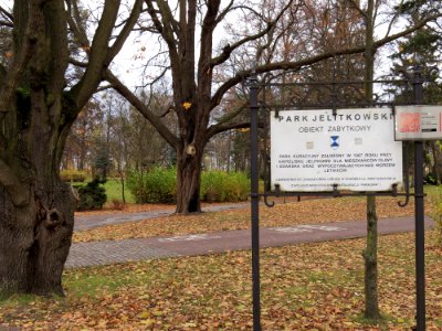 Jelitkowo park 3