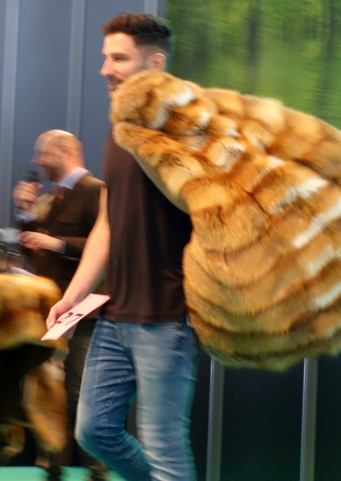 Jagd & Hund, 2020, Pelz (160) (lfd. Nr. 27)