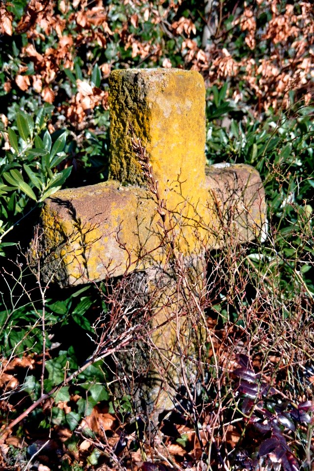 Hopsten Kreuzstein Gustav Lampe Strasse