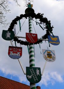 Hopsten Maibaum 01