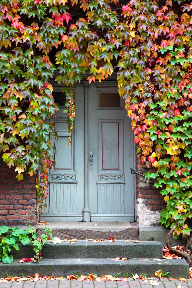 Ivy stone stairway doors