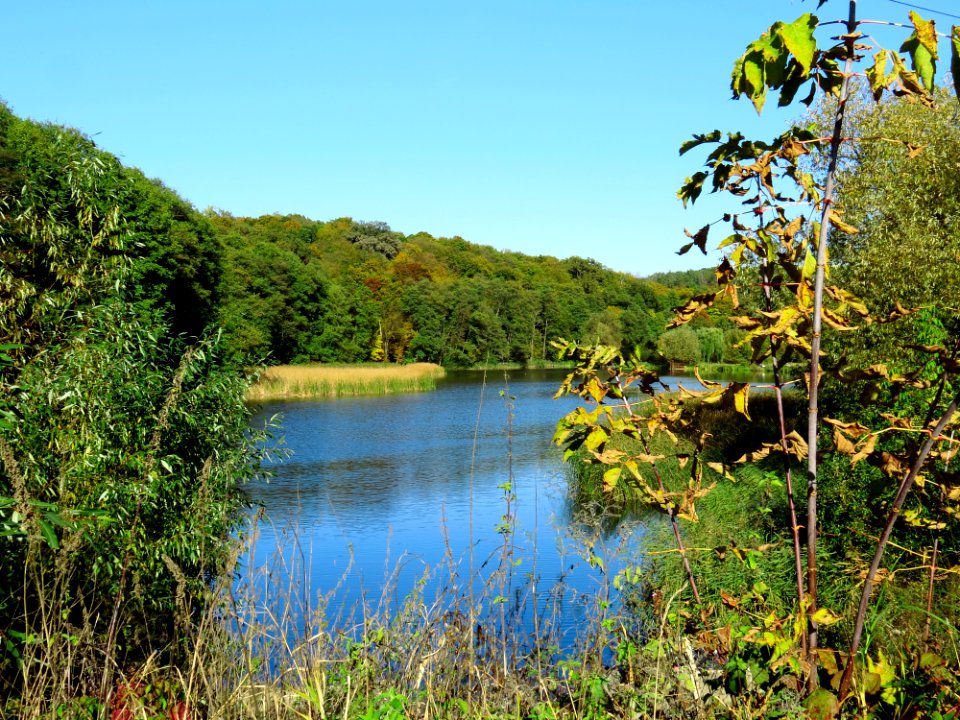 Holosiiv Hnyle lake1