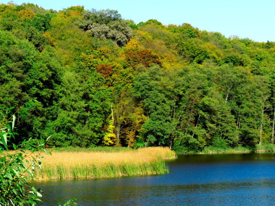 Holosiiv Hnyle lake2