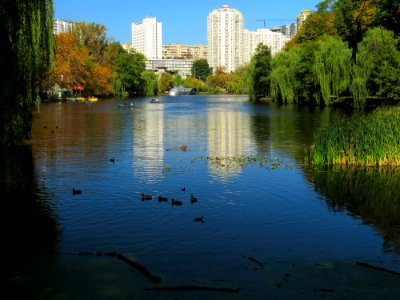 Holosiiv square pond3