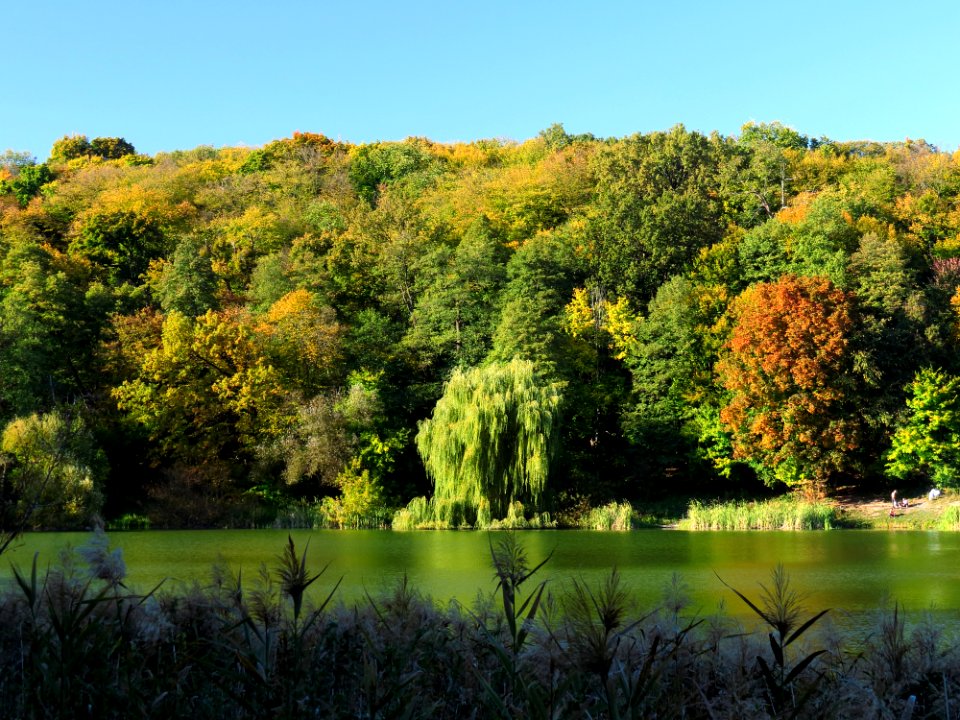 Holosiiv Mitkine lake4