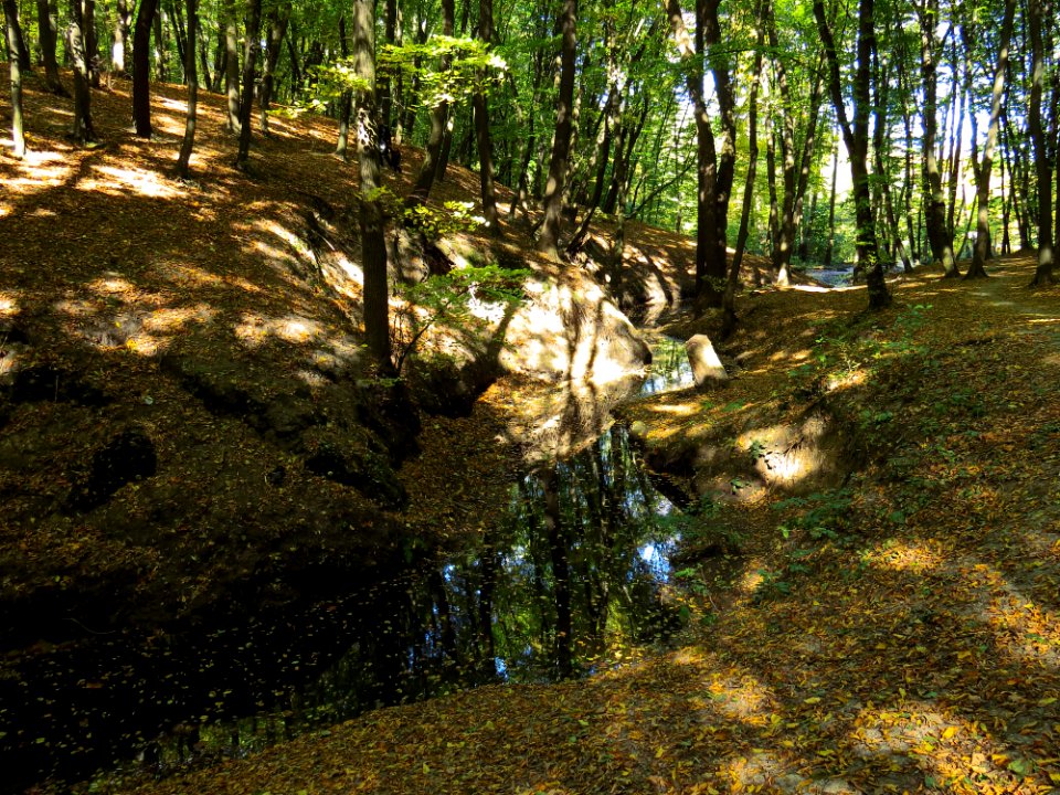 Horikhuvatka7