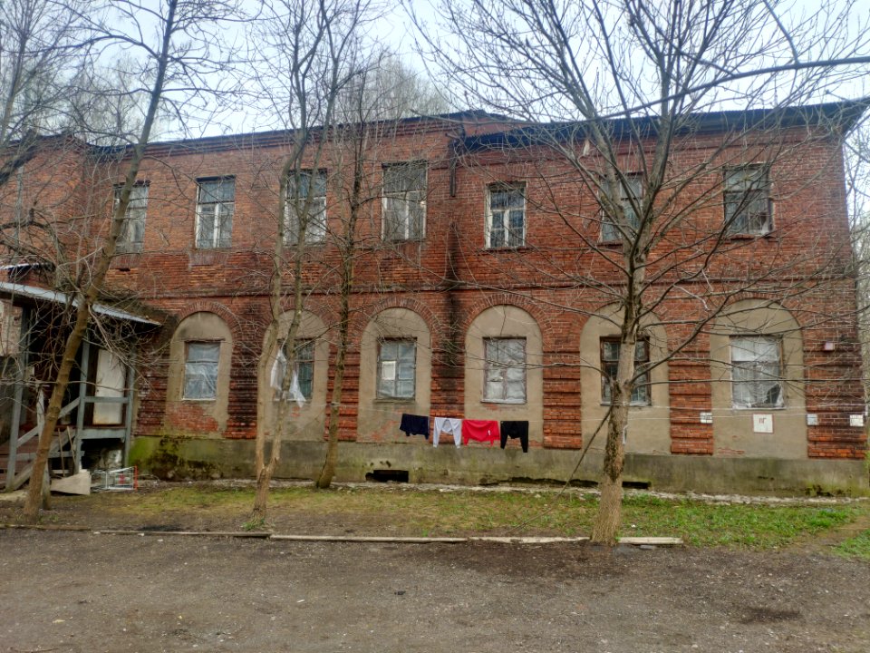 Horse yard in Vinogradovo - 2021-05-02 - p8