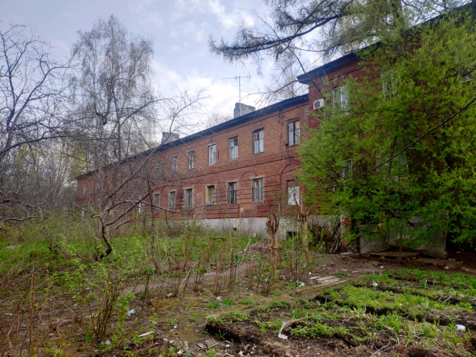 Horse yard in Vinogradovo - 2021-05-02 - p11