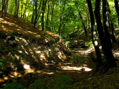 Horikhuvatka3