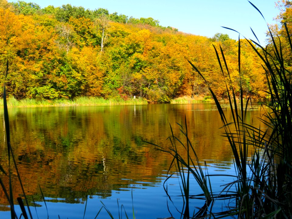 Horikhuvatka pond№3-4