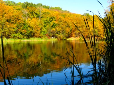 Horikhuvatka pond№3-4