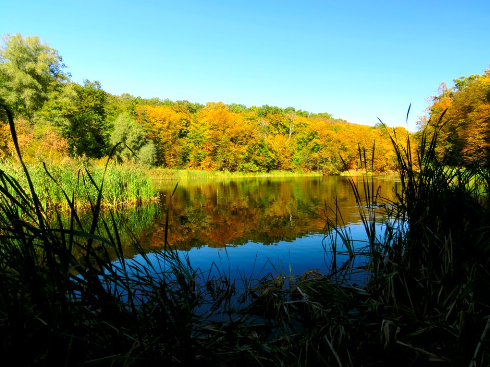 Horikhuvatka pond№3-3
