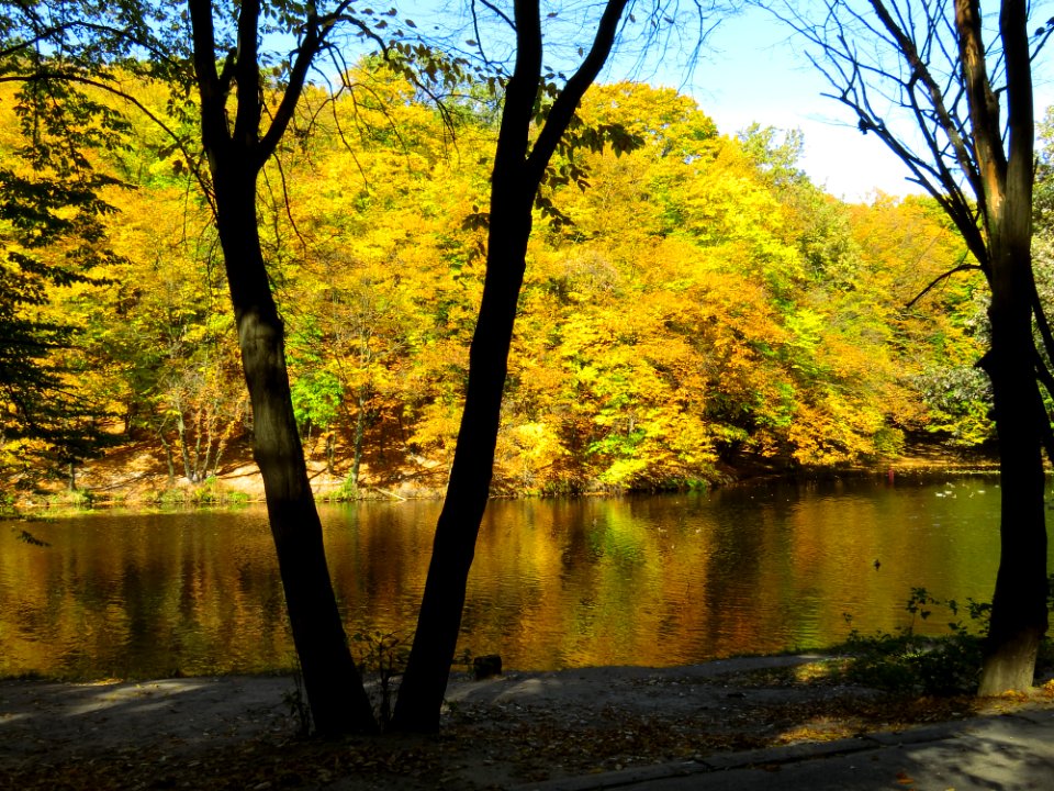 Horikhuvatka pond№3-2