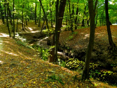 Horikhuvatka8