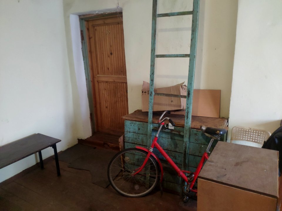 Horse yard in Vinogradovo - 2021-05-02 - p4