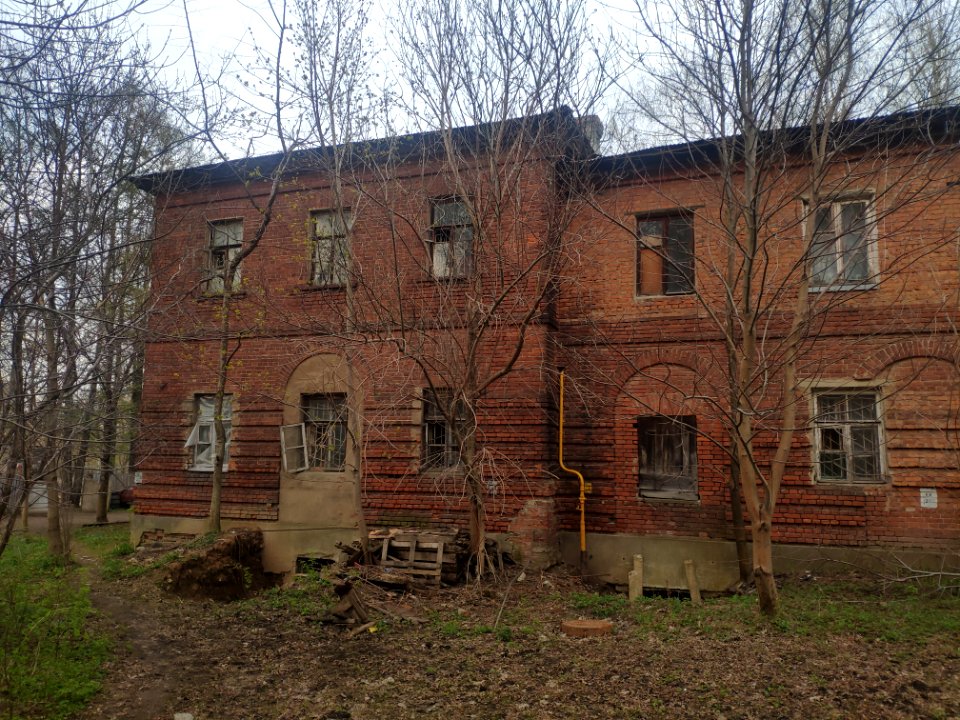 Horse yard in Vinogradovo - 2021-05-02 - p7