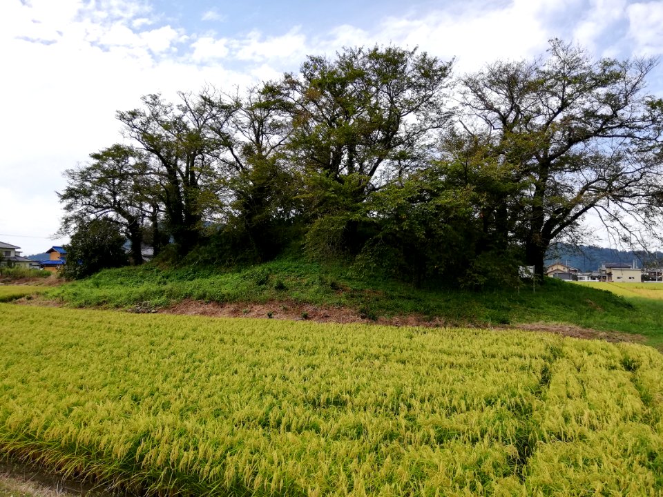 Himezuka Kofun 20200920 01