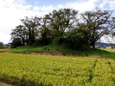 Himezuka Kofun 20200920 01