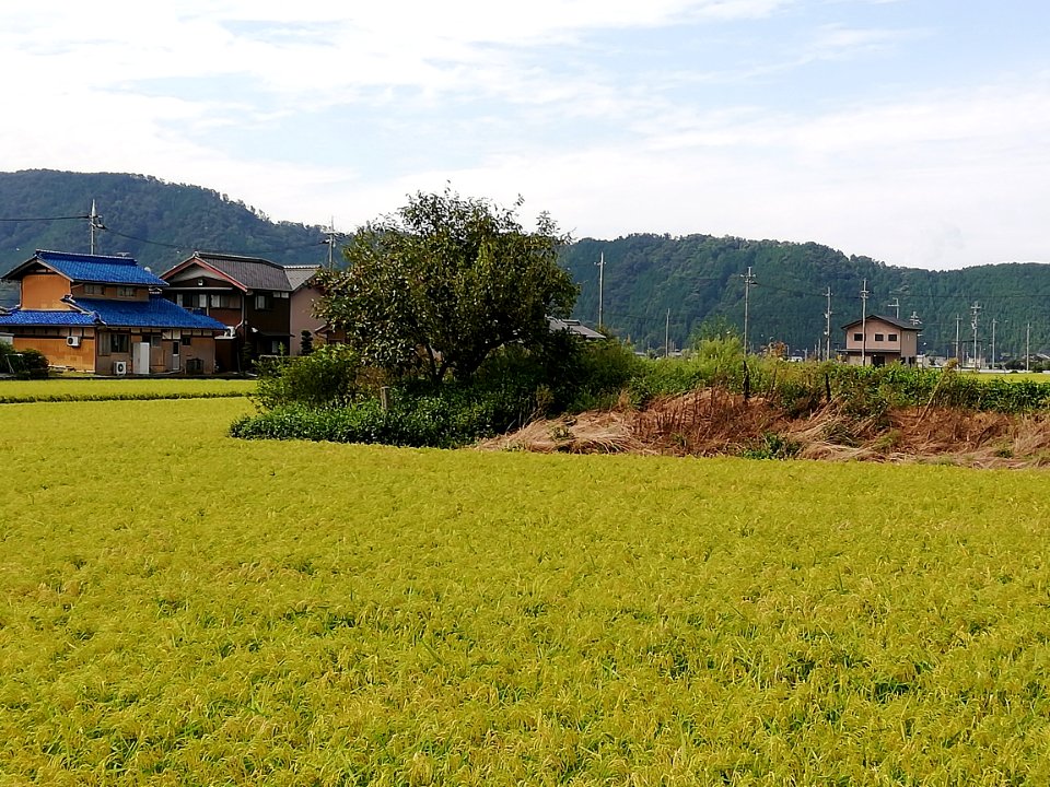 Himezuka Kofun 20200920 02