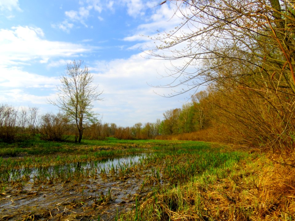 Hlyboke lake Muromets5