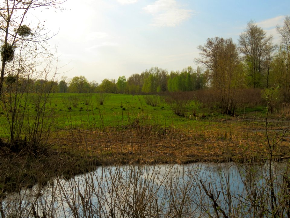 Hlyboke lake Muromets2
