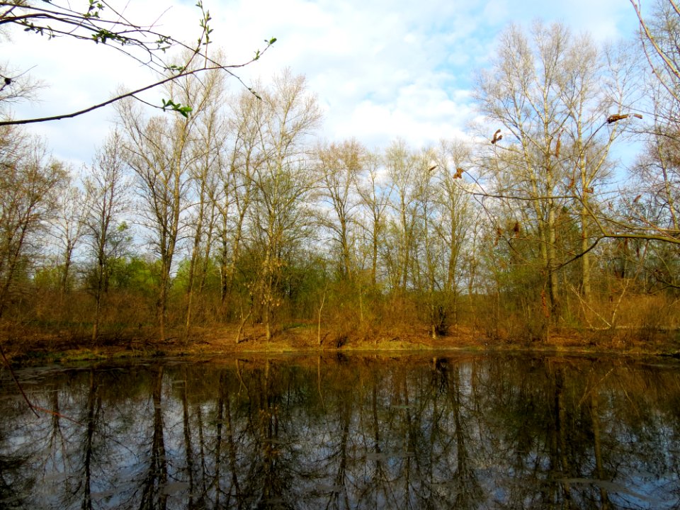 Hlyboke lake Muromets1