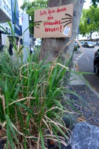 Ich bin auch ein fühlendes Wesen. Extinction Rebellion, Düsseldorf, 18. August 2020