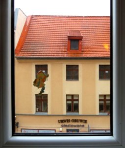 Imbir hostel Toruń 03