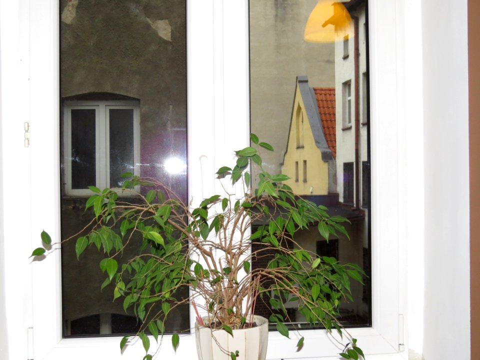 Imbir hostel Toruń 05