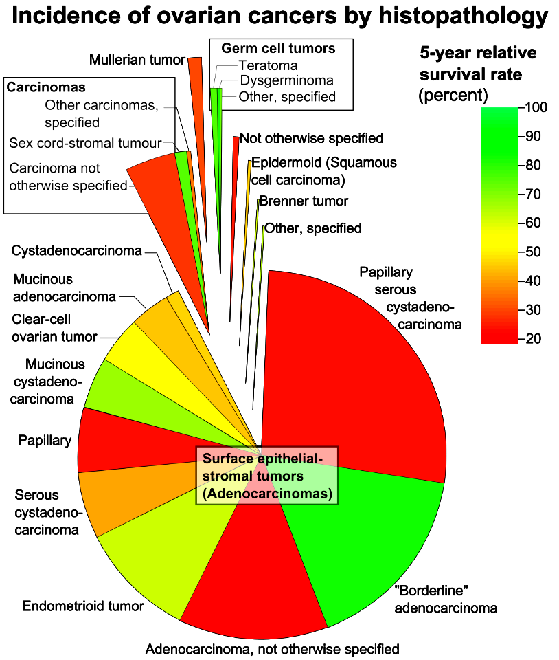 Incidence of ovarian cancers by histopathology
