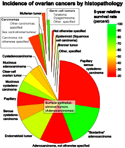 Incidence of ovarian cancers by histopathology
