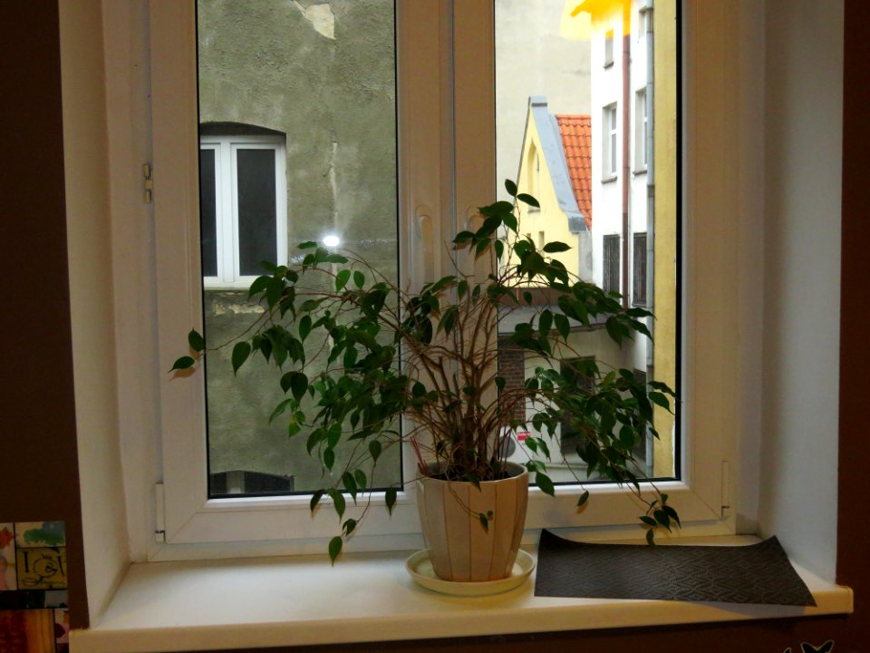 Imbir hostel Toruń 06