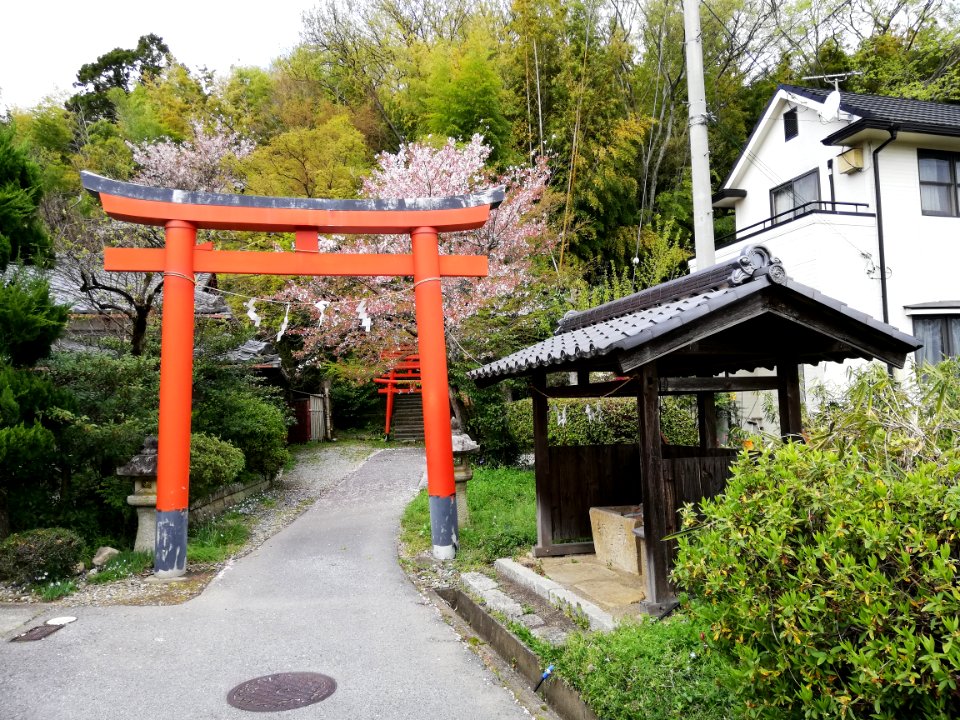 Inari Shrine (Okamachi) 20210405 02