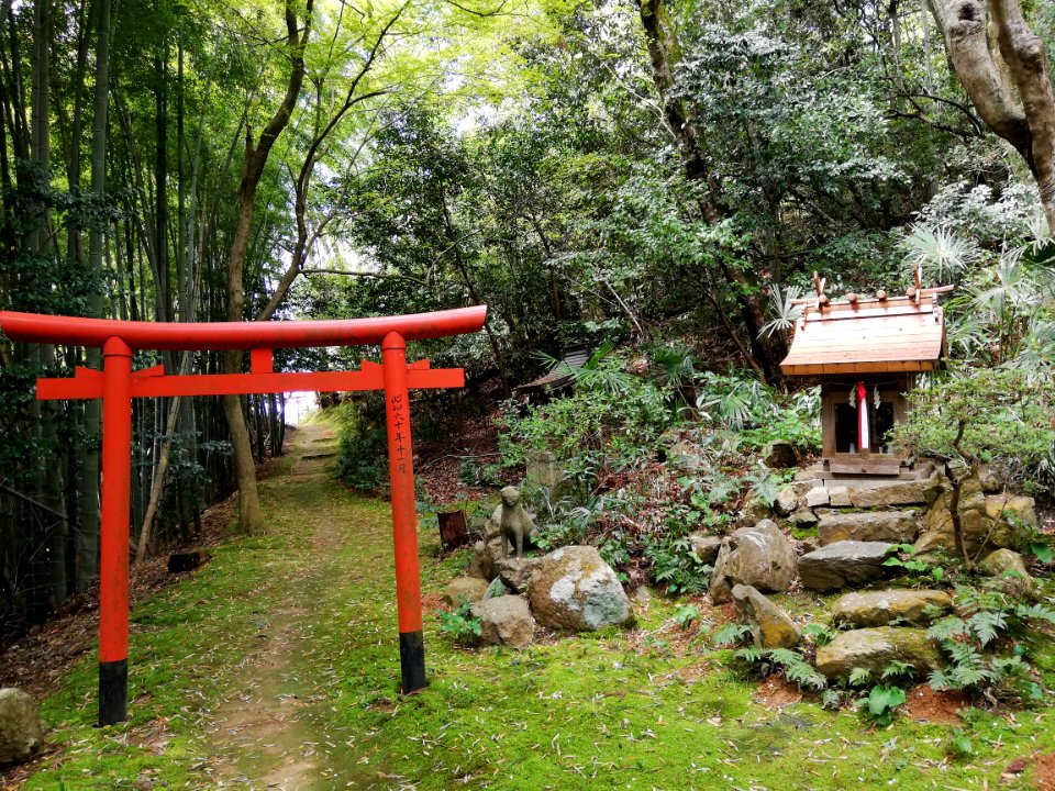 Inari Shrine (Okamachi) 20210405 10