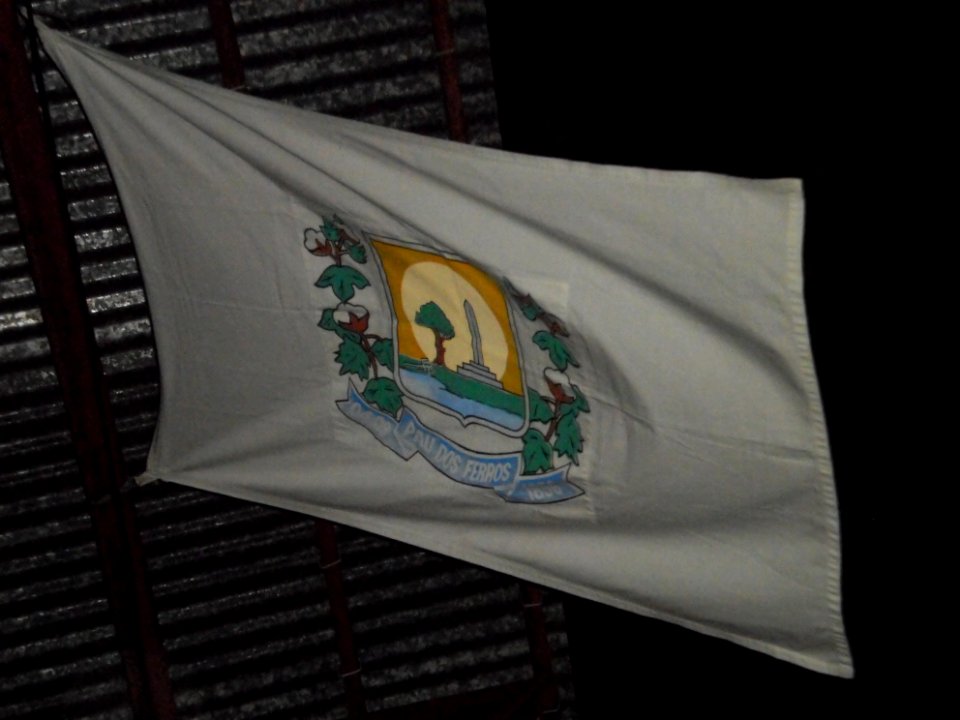 Imagem da bandeira de Pau dos Ferros (RN)