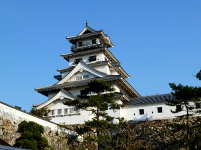Imabari casrtle5