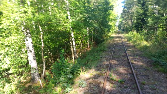 Hultsfred forest draisine line