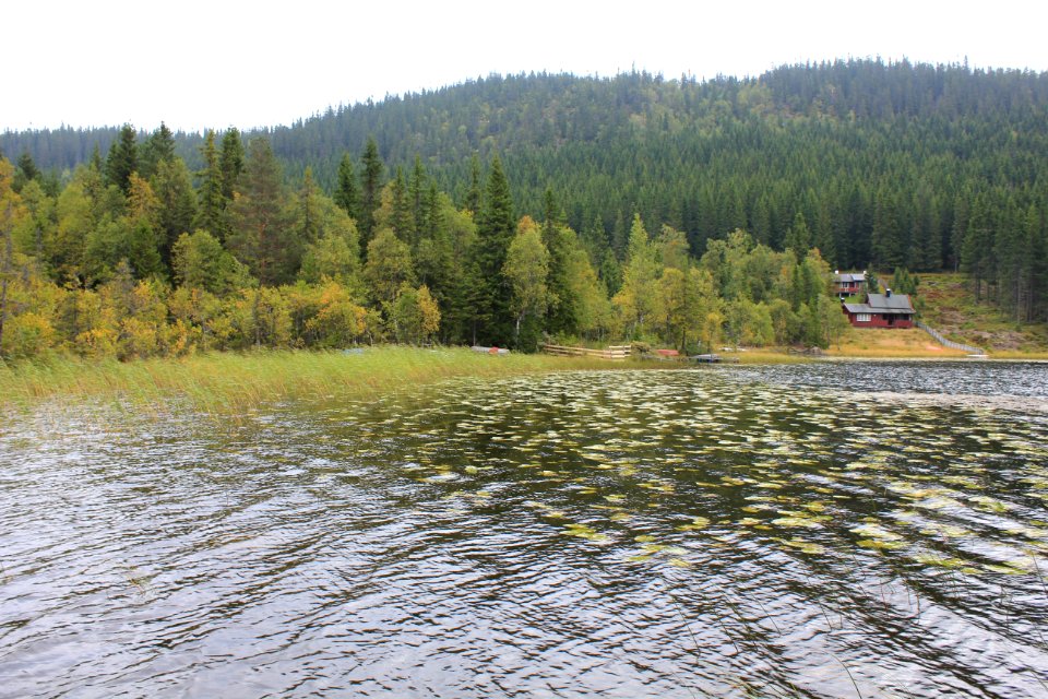 Huetjernet