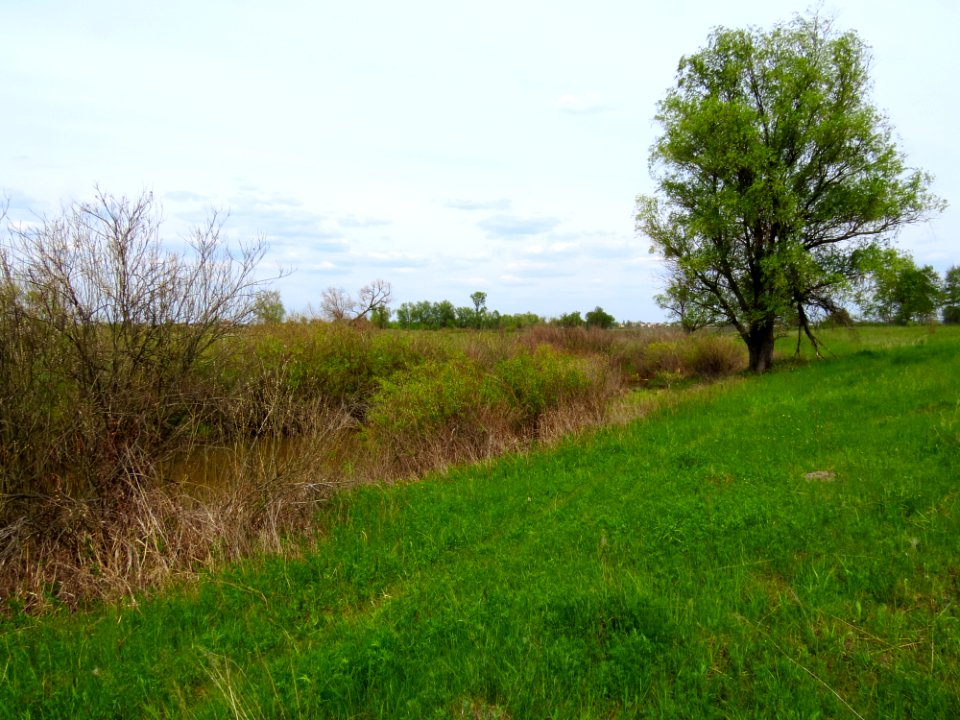 Hromadska Kozarka15