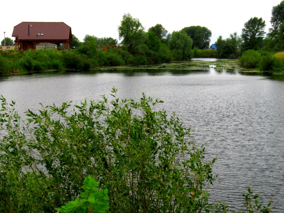 Hromadska Kozarka14